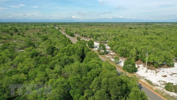 Vietnam et Finlande renforcent leur coopération dans le développement de coopératives forestières